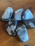 Silver Leaf Jasper Tumble Stones