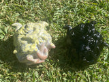 Black Obsidian Medusa Skull