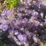 Amethyst Stretch Bracelet