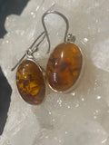 Amber Earrings
