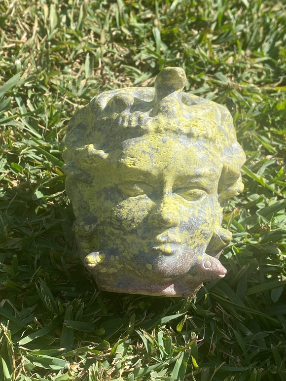 Sulphur Medusa Skull