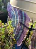 Rainbow Fluorite Butterfly Wings