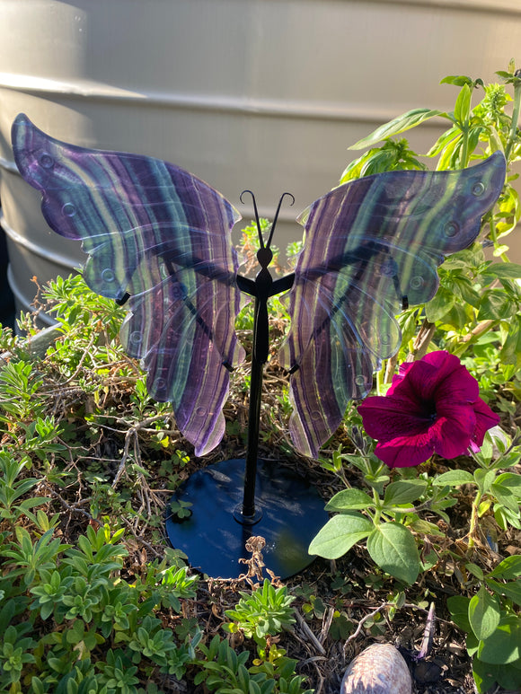 Rainbow Fluorite Butterfly Wings