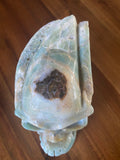 Caribbean Calcite Skull Large