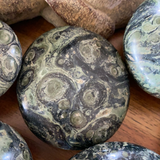 Kambaba Jasper Palm Stones Large