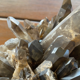 Smokey Quartz Cluster XL