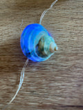 Fairy Lights - Nautilus Shells