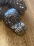 Turritella Agate Tumble Stones