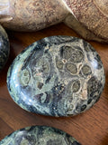 Kambaba Jasper Palmstone