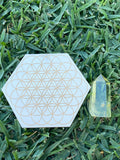 Flower of Life Gridding Plate