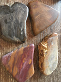 Petrified Wood Tumble Stones