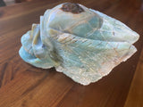 Caribbean Calcite Skull Large