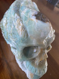 Caribbean Calcite Skull Large