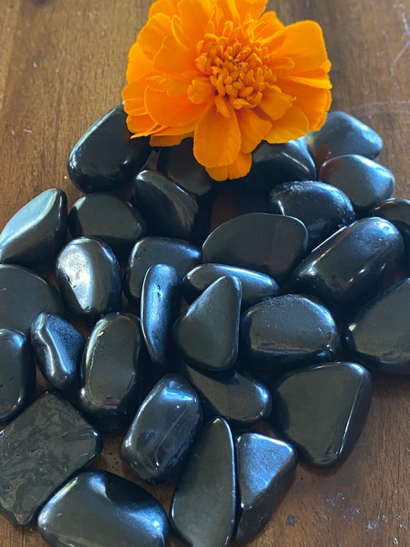 Shungite Tumble Stones