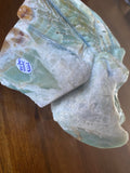 Caribbean Calcite Skull Large