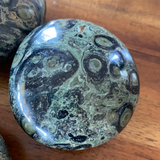 Kambaba Jasper Palm Stones Large