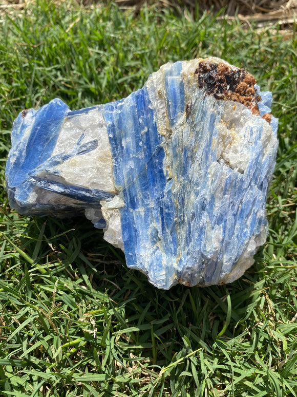 Kyanite & Quartz Cluster Large