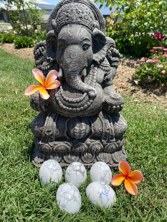 Howlite Palmstones Large