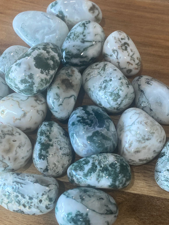 Moss Agate Tumble Stones