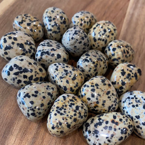 Dalmation Jasper Tumble Stones