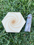 Spiral Gridding Plate