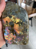 Labradorite Freeforms