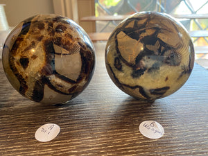 Septarian Spheres