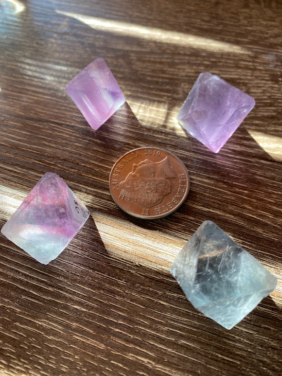 Rainbow Fluorite Natural Octahedrons Medium