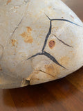 Septarian Dragons Egg Heart