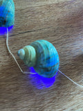 Fairy Lights - Nautilus Shells
