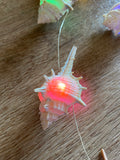 Fairy Lights - Whelk Shells