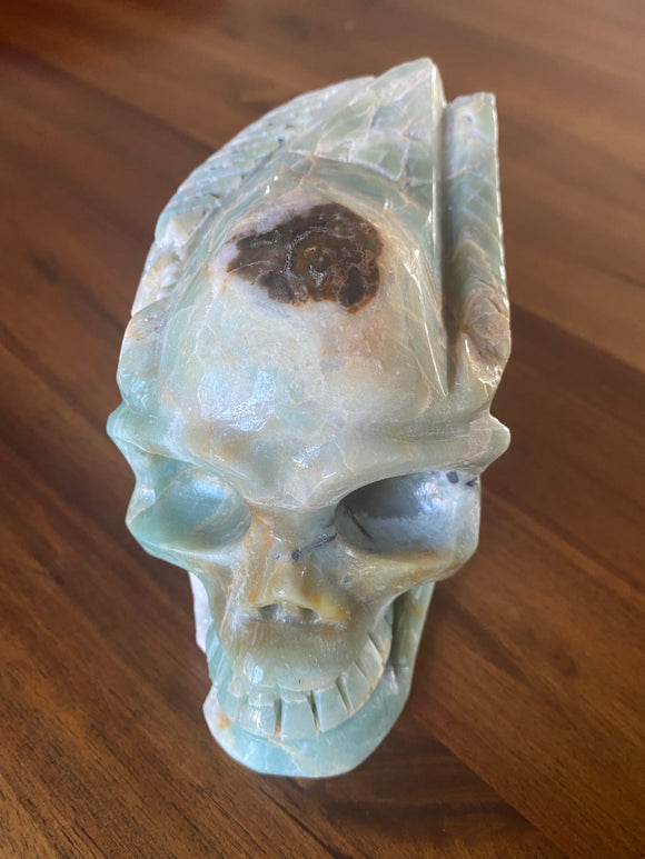 Caribbean Calcite Skull Large