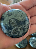 Kambaba Jasper Palmstone