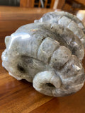 Labradorite Skull XL