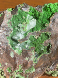 Conichalcite Raw Specimen