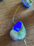 Fairy Lights - Nautilus Shells