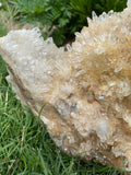 Himalayan Quartz Cluster