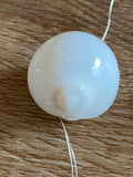 Fairy Lights - Moon Shells