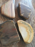 Petrified Wood Tumble Stones