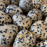 Dalmation Jasper Tumble Stones