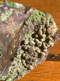 Conichalcite Raw Specimen