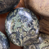 Kambaba Jasper Palm Stones Large