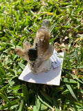 Smokey Quartz with Feldspar and Aegirine Natural Cluster