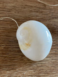 Fairy Lights - Moon Shells
