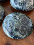 Kambaba Jasper Palmstone