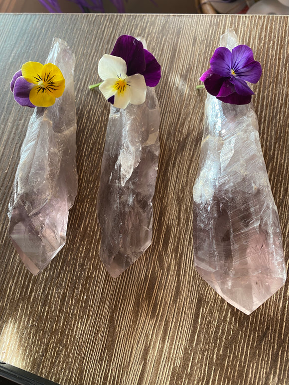 Bahia Amethyst Wands