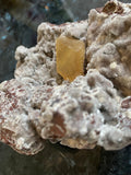 Golden Ray Calcite Record Keeper on Chalcedony